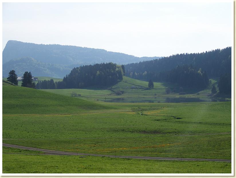 100_2004
